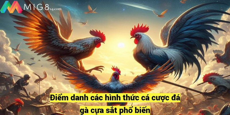 Điểm danh các hình thức cá cược đá gà cựa sắt phổ biến